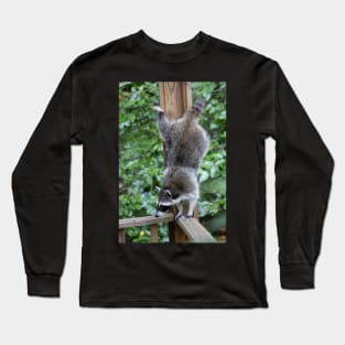 Raccoon Acrobatics Long Sleeve T-Shirt